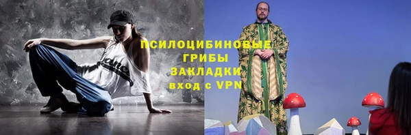 амф Арсеньев