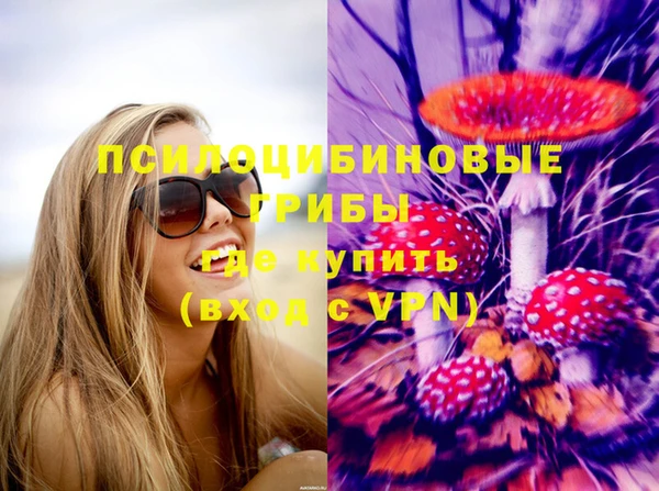 первитин Армянск