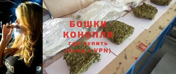 амф Арсеньев