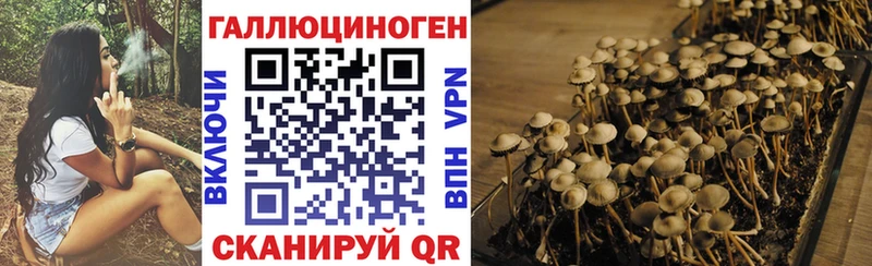 Псилоцибиновые грибы GOLDEN TEACHER  Ясногорск 